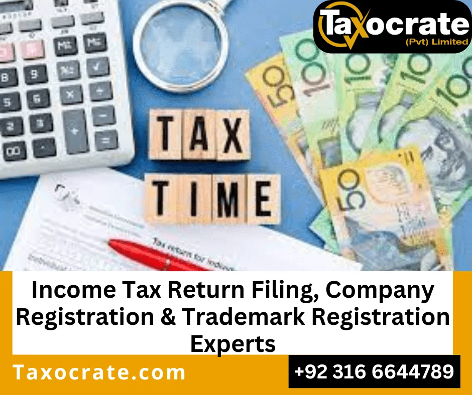 Income Tax Return Filing