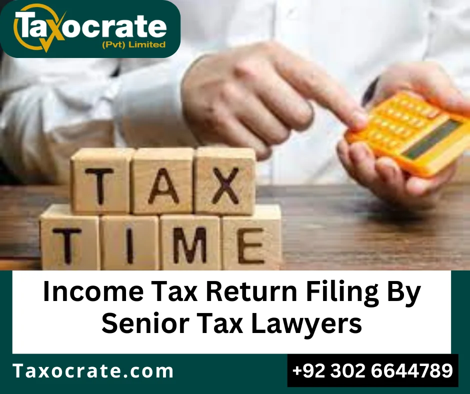 Income tax return filing service