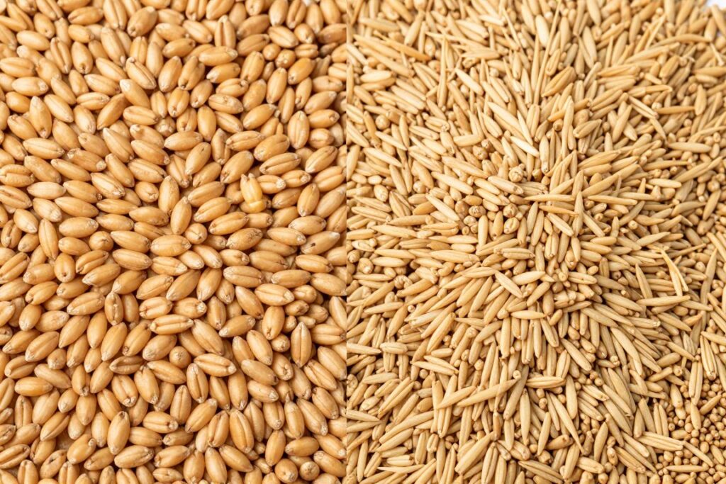 Comparison between weak and strong trademark protection strategies